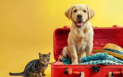 Pawprints Abroad!