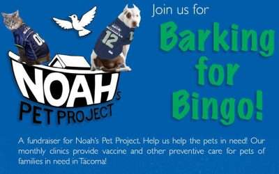 Barking for Bingo Nov. 15!