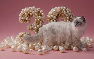 Thirty Years of Pearls
